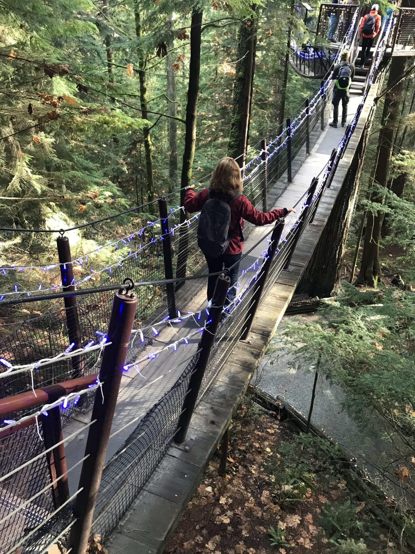 Suspension Bridges Day Visiting Capilano and Lynn Canyon Places and