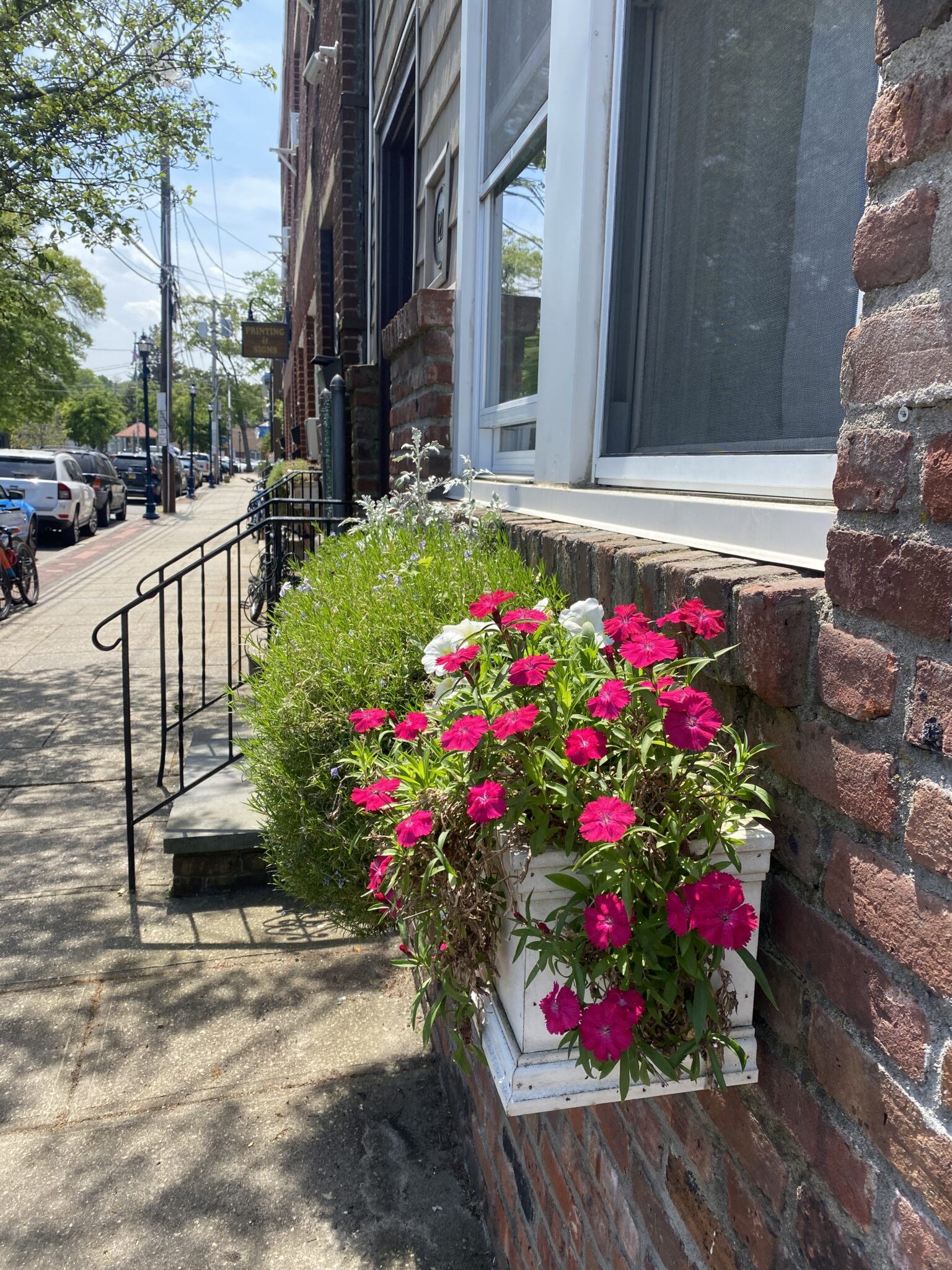 Exploring Oyster Bay Best Things to see and do in Town of Oyster Bay